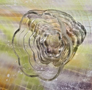 Retro Clear Scallop Dessert Nut Dish Bowl, 4.75” diameter FREE SHIP - Picture 1 of 5