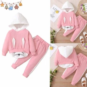 Kids Baby Girl Hooded Sweatshirt Tops Pants Outfit Set Toddler Hoodies Tracksuit - Picture 1 of 8
