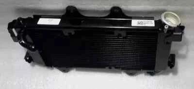 Radiador completo sin ventilador apto para el modelo Ktm Duke 390 Duke 250 2017-2020 Foto 1 de 4