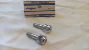 2 NOS Campagnolo Cantilever post bolts 6mmx1.00 - Picture 1 of 3