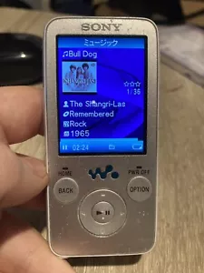 Sony Walkman Digital Music Player NW-S636F Fully Working Japanese Import A3 - Picture 1 of 9