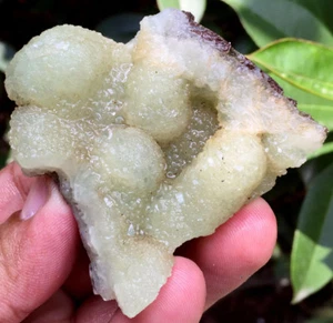 101g ¡¡¡GUAU!!! Nuevo hallazgo crudo natural raro verde prehnita especímenes de cristal ip1011 - Imagen 1 de 12