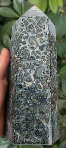 1865 g natürlicher grüner Kambaba Jaspis Stromatolith Fossil Kristallspitze Heilung - Bild 1 von 10