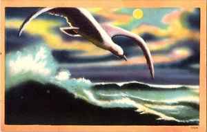 Seagull In Flight Linen Colored Postcard Surf Moon - Picture 1 of 2