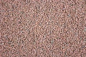 1000Kräuter Annatto Annattosaat Annattosamen ganz 1000 g - Bild 1 von 1