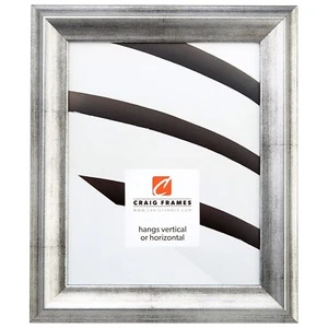 Craig Frames Veranda, 1,5" gebürstetes Silber Bilderrahmen - Bild 1 von 10