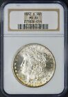 1882-S MORGAN SILVER DOLLAR - NGC MINT STATE 65 - BROWN LABEL - COINGIANTS