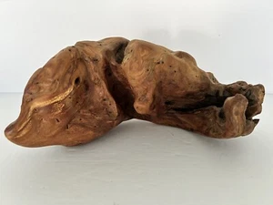 Escultura brutalista abstracta raíz natural madera burl artesanal forma orgánica 10” x 5 - Imagen 1 de 8