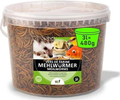 UGF UNDERGROUND FOOD UGF - Premium Mehlwürmer getrocknet 3 Liter Eimer - 480g, Vogelfutter Wildvögel