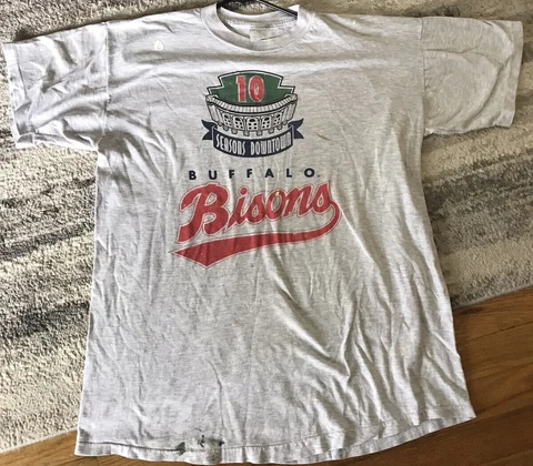 Vintage Buffalo Bisons T-Shirt Size XL Single Stitched Thrashed Painters Tee 90s Cover