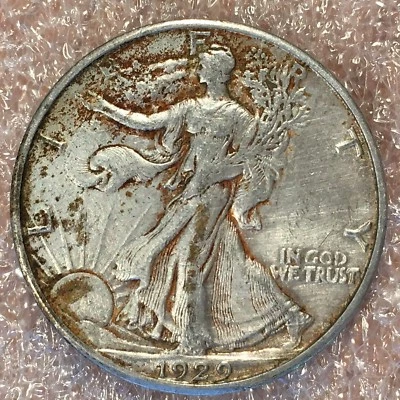 1929-S Walking Liberty Half - Superb Detail - High Quality Scans #H529 - Image 1 of 2