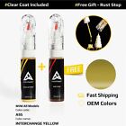 Car Touch Up Paint For MINI All Models Code: A95 INTERCHANGE YELLOW