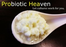 Organic Milk Kefir Grains / Live Probiotic Culture 2 Table Spoons