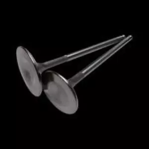 Brian Crower Valves - 25mm (STD) Exhaust - 2017+ Can-Am X3 Rotax 900 Ace - Picture 1 of 1