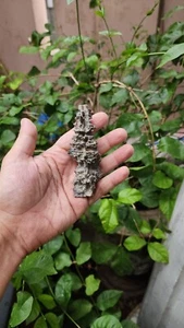 Fulgurite lightning glass . Fulgurite Stone . Hollow Glass Tube . 123.60CT - Picture 1 of 7
