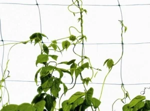 2 x 20m Ranknetz Rankhilfe Pflanzennetz Gartennetz Stütznetz 15x17cm Masche - Bild 1 von 1