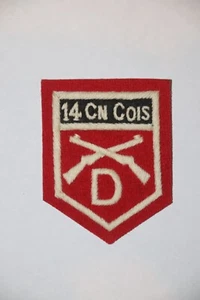 INSIGNIA DE FORMACIÓN DE HOMBRO DE TELA DEL EJÉRCITO IRLANDÉS D CO 14 CN COIS BUENA COPIA - Imagen 1 de 1