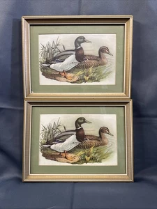 2er Set - Vintage - 60er Jahre - Jacques Cartier - Drake & Hen Mallard Ducks - gerahmt - Bild 1 von 11