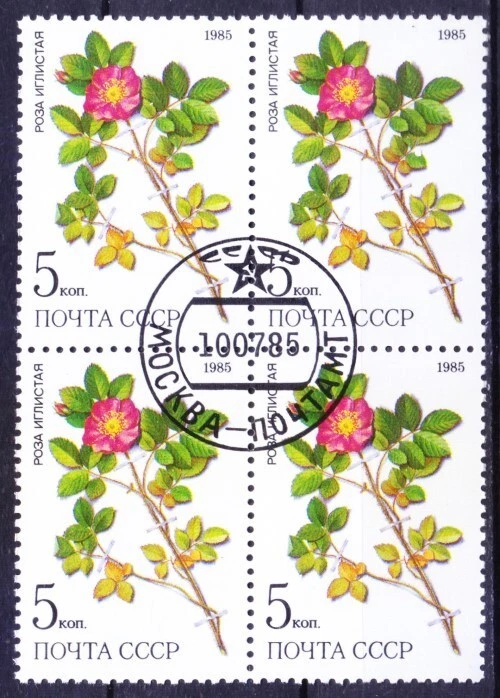 Soviet 1985 CTO Blk,, Medicine Medicinal Plant Prickly Rose used as an astringen - Image 1 of 1