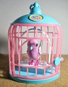 Gabbia per uccelli Little Live Pets Viola Polly Pearl illumina canta e ripete 2AAA - Foto 1 di 11