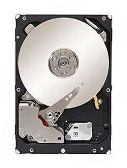 Seagate Enterprise Capacity 1TB,Intern,7200RPM