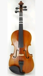 Angel Taylor 110 Violine. 1/4 - Bild 1 von 6