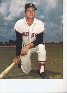 8 1/2 x 11 Foto Brillante Carl Yastrzemski Medias Rojas de Boston {143} - Imagen 1 de 1
