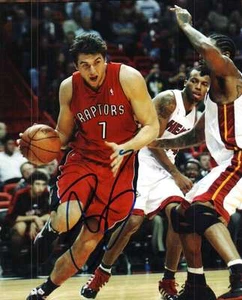 Signed  8x10 ANDREA BARGNANI Toronto Raptors Autographed Photo w/COA - Picture 1 of 1