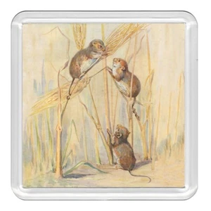 Cosecha Ratón Vida Silvestre Naturaleza Acrílico Montaña Montaña Novedad Taza Taza Estera Gran Regalo - Imagen 1 de 1