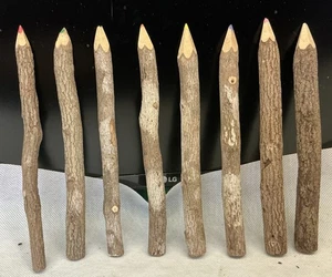 Set of 8 Colored Pencils Rustic Twig Log Trees Kids Colors And Unique ￼ - Picture 1 of 5