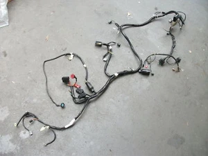 Honda Pantheon 125 Kabelbaum - 2501 B - Bild 1 von 1