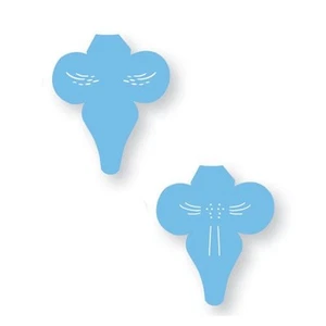 JEM 2 Set ORCHID LABELLUM Flower Cake Decorating Stencil Sugarcraft Decoration - Picture 1 of 1