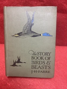 The Story Book Of Birds And Beasts J H Fabre 1920s Hardback Book Free P&P - Imagen 1 de 10