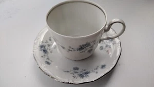 Johann Haviland Blue Garland Flat Cup & Saucer Set Bavaria Backstamp 1974-1990 - Picture 1 of 6