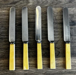 5 Vintage BONE EFFECT Handle THOMAS ELLIN & CO 8” Firth Stainless Dinner Knives - Picture 1 of 7