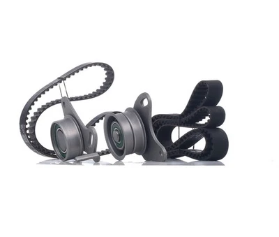 INA Kit de distribution 530 0109 10 pour HYUNDAI TERRACAN (HP) - Photo 1/4