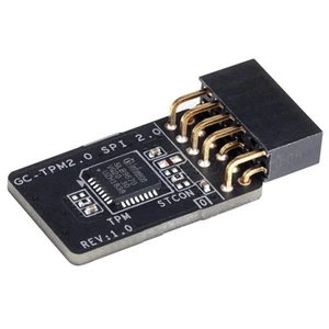 MB ACC TPM MODULE/TPM2.0 SPI V2.0 GIGABYTE - Picture 1 of 1