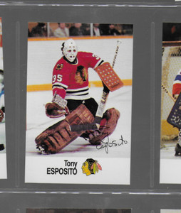 1988-89 ESSO - ALL-STAR COLLECTION (TONY ESPOSITO).