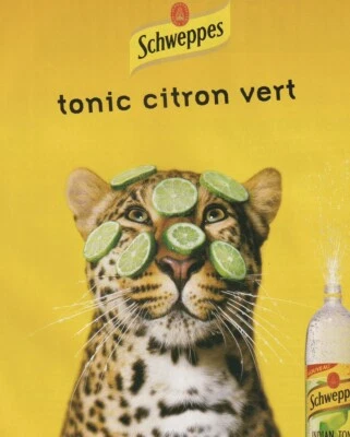 VTG 2000 Schweppes Indian Lime Tonic Orig French Print Ad 21x27cm Leopard ENT 95 - Image 1 of 3