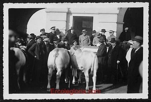 ae0675 - CARTOLINA D'EPOCA - Asti Città - Vera foto - Picture 1 of 2