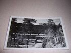 1940S Pig Tail Bridge & Mt Rushmore On Iron Mountain Highway Sd. Rppc Postcard