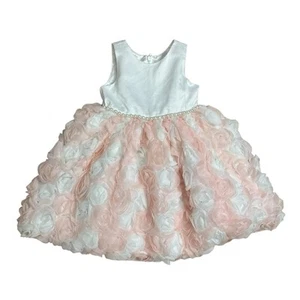 American Princess Dress Flower Girl Roses Pink White Dainty Spring Summer 2T - Picture 1 of 5