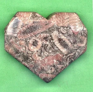 SELTEN 50x42x14mm natürlicher Insekteneinschluss Fossil Herz Reiki/Kristall Heilung (IH2 - Bild 1 von 5