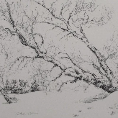 Hans Dietmann Winterlandschaft Birken Schnee zeitgenössisch sign Radierung 20 Jh - Bild 1 von 4