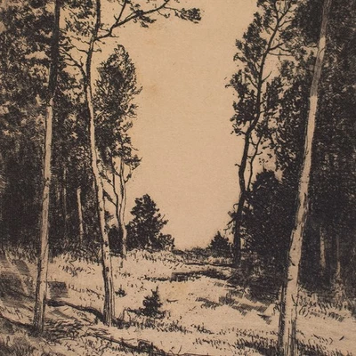 Waldlichtung Strandkiefern Landschaft Impressionismus signiert Radierung um 1920 - Bild 1 von 4