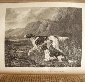 THE SPORTING MAGAZINE v16, J.Pittman w/Nimrod-1825 [rebacked] hunting engravings - Bild 1 von 12