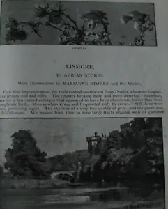 Lismore County Waterford Cappoquin Ireland Rare Old Article 1889 Lace Bees Wool - Picture 1 of 5