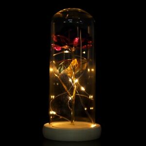 Enchanted Eternal Rose Flower In Glass LED Light Wedding Party Home Xmas Deco YS