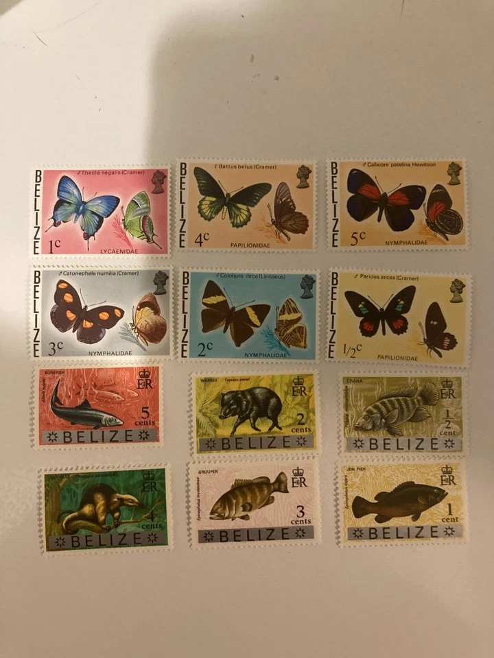 1973-1974 Set of 12 Butterfly and Fish Stamps From Belize MNH — 第 1/4 张图片