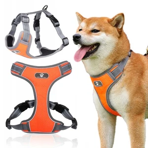 Hundegeschirr kleine Hunde - Hunde Geschirr mit Leine Hund klein M DHL - Bild 1 von 18